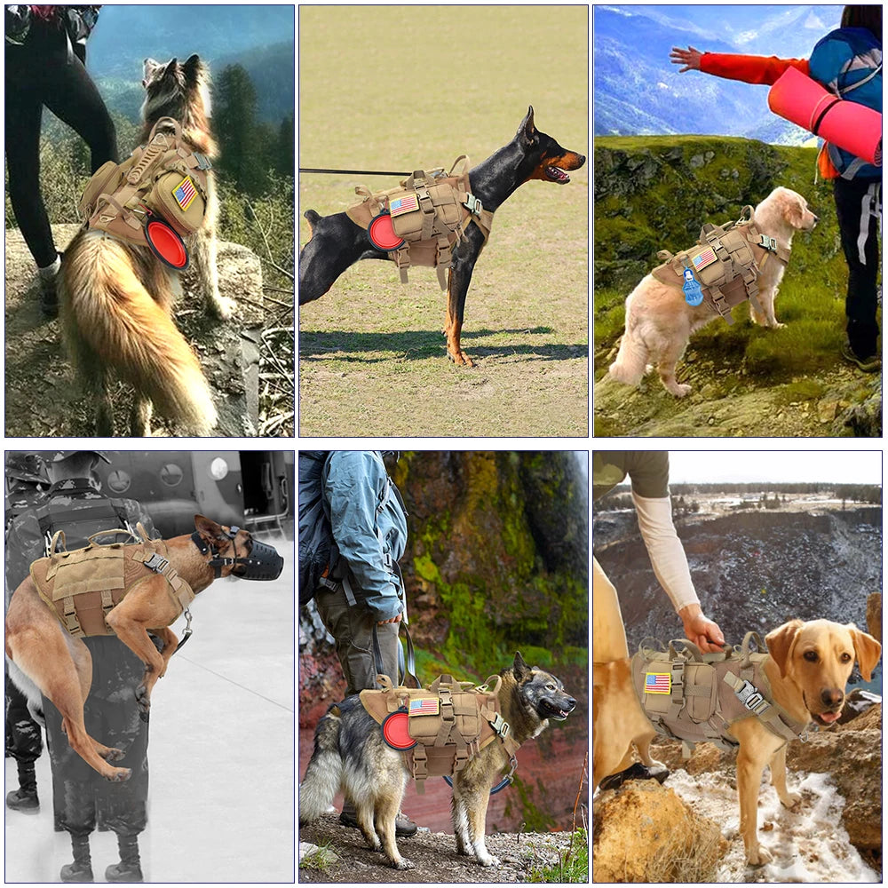 Tactical Dog Harness – Military MOLLE No-Pull Vest for Medium & Large Dogs