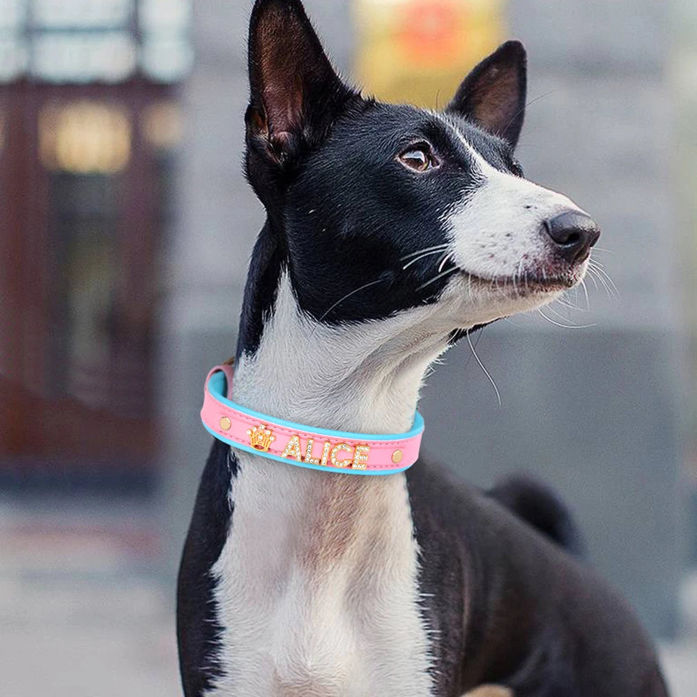 ✨ Personalized Bling Rhinestone Dog Collar – For Small Dogs & Cats ✨