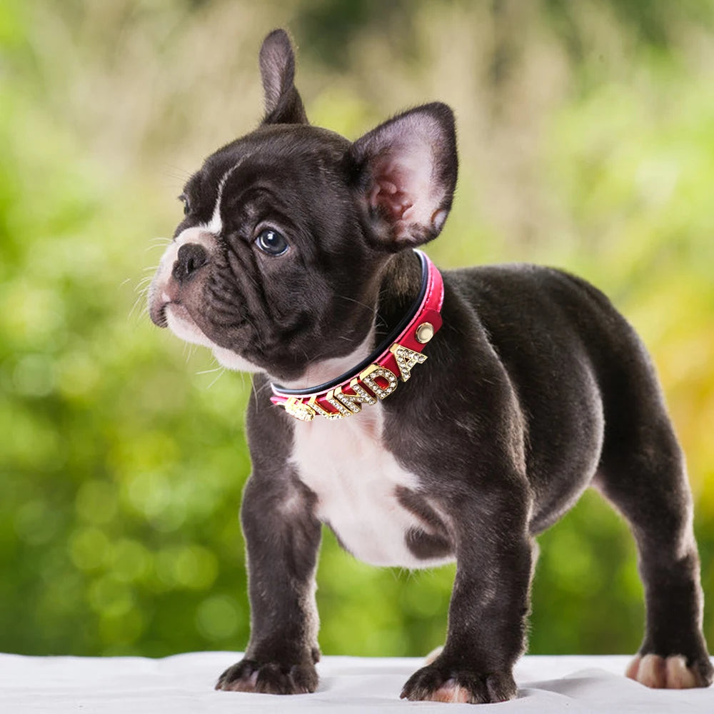 ✨ Personalized Bling Rhinestone Dog Collar – For Small Dogs & Cats ✨