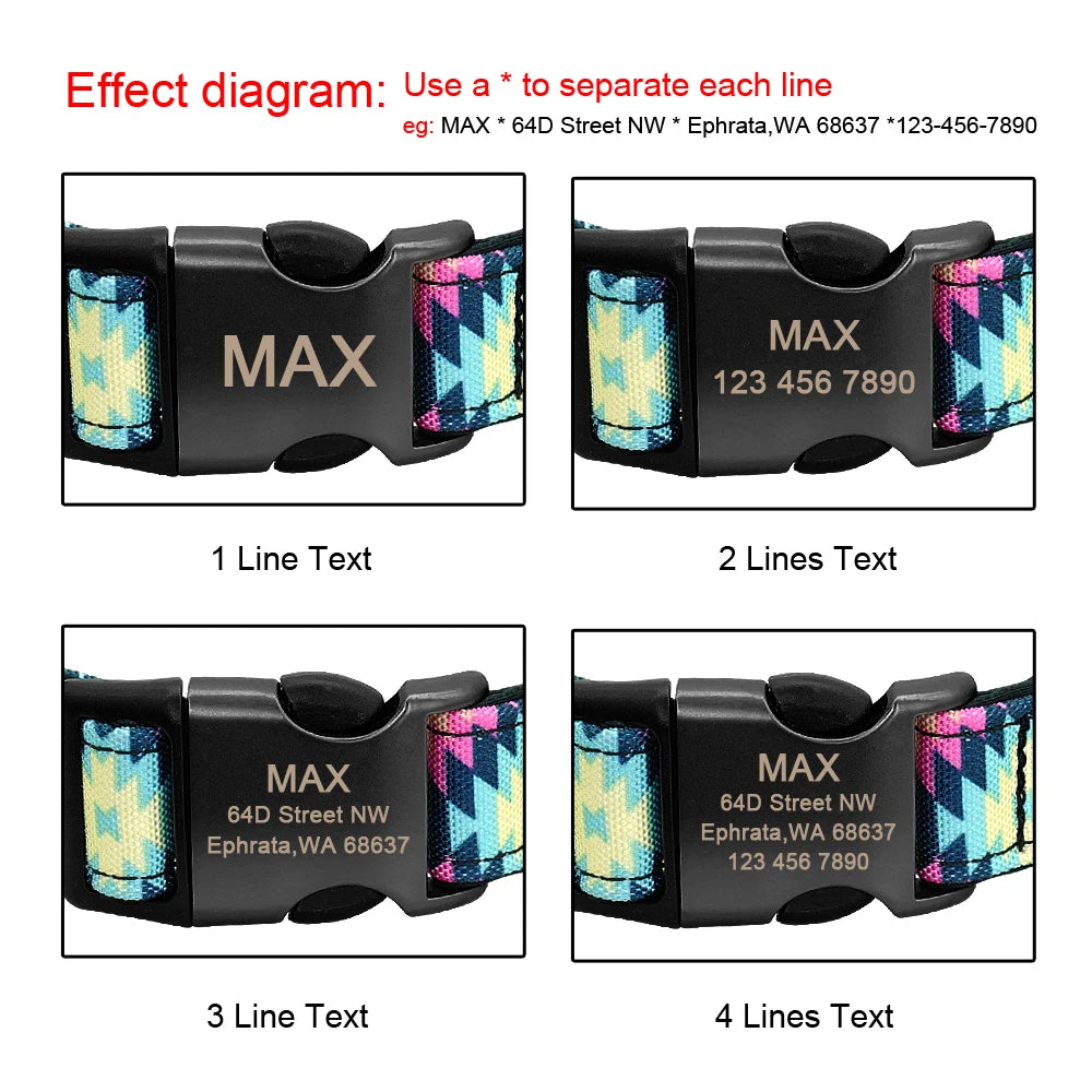 Custom Engraved Dog Collar + Optional Leash – Personalized Nylon ID Tag for Small, Medium & Large Dogs