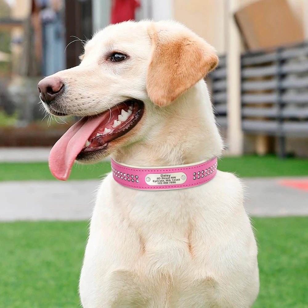 Personalized Dog Collar with Rhinestones – Custom Engraved Leather Pet ID Collar | Adjustable for Small, Medium & Large Dogs