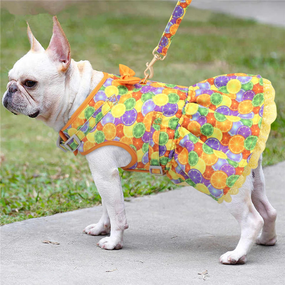 Cute Printed Dog & Cat Harness Leash Set – Summer Pet Dress Vest for Small Dogs & Cats (Chihuahua, Yorkie, Pug, French Bulldog)