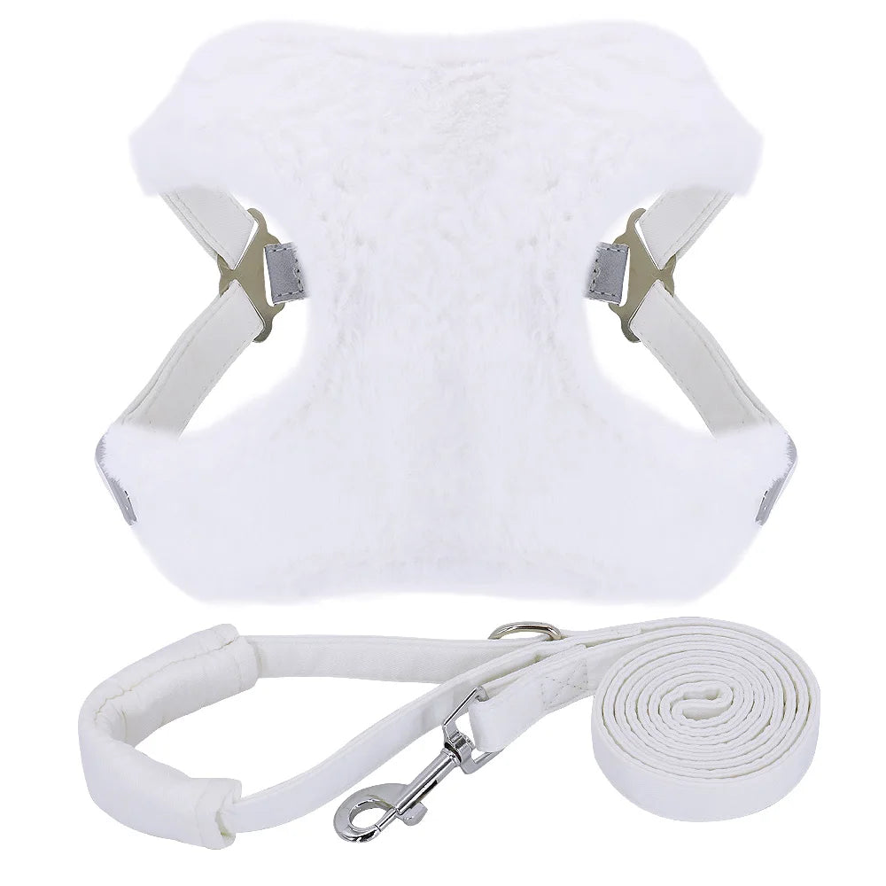 Soft Padded Dog & Cat Harness Leash Set – Warm Winter Vest for Small Dogs & Puppies (Chihuahua, Yorkie, French Bulldog)