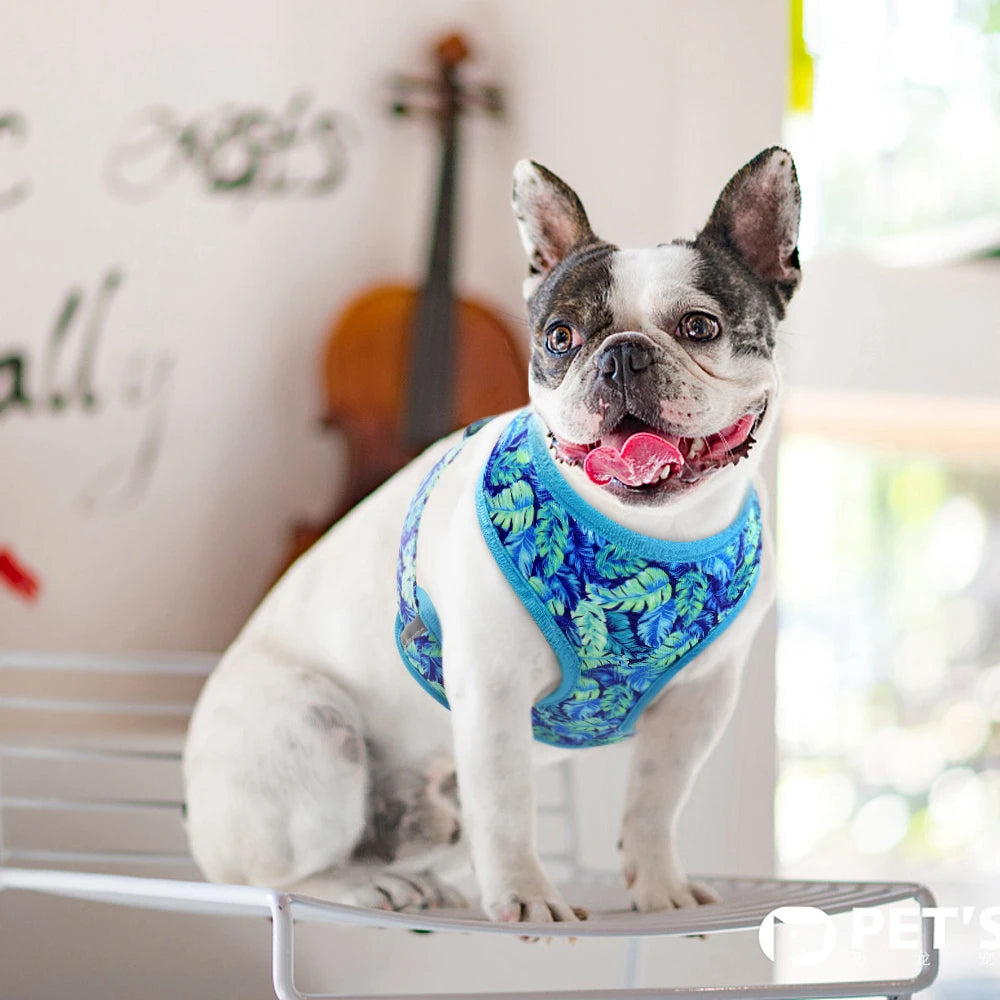 Fashion Printed Nylon Dog Harness Reflective French Bulldog Pug Harness Dog Vest For Small Medium Dogs Cats Walking Training