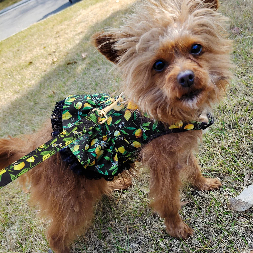 Cute Printed Dog & Cat Harness Leash Set – Summer Pet Dress Vest for Small Dogs & Cats (Chihuahua, Yorkie, Pug, French Bulldog)