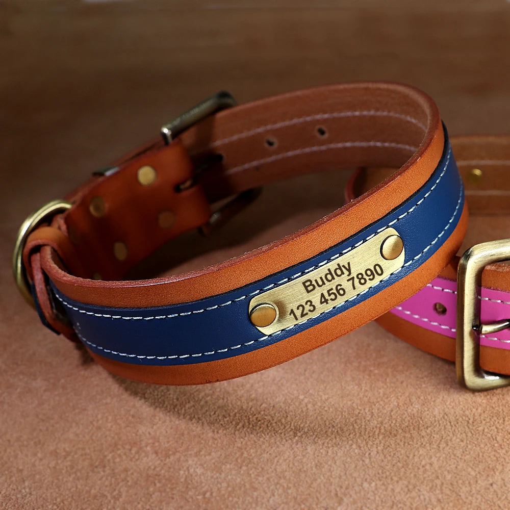 Personalized Leather Dog Collar – Soft Padded, Custom Engraved Nameplate for Medium & Large Dogs