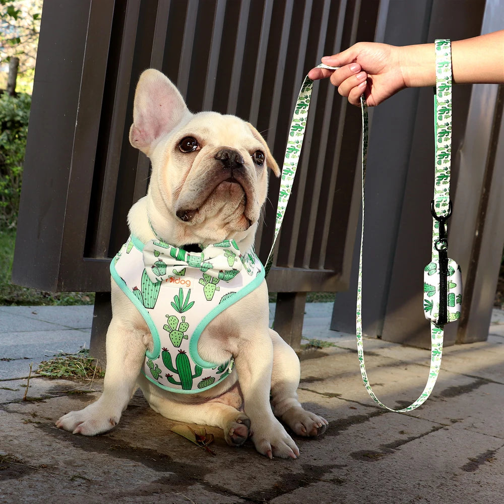 6-Piece Dog Harness Set – Fashion Printed Harness with Matching Collar, Leash, Bandana, Bowtie & Poop Bag Holder for Small & Medium Dogs