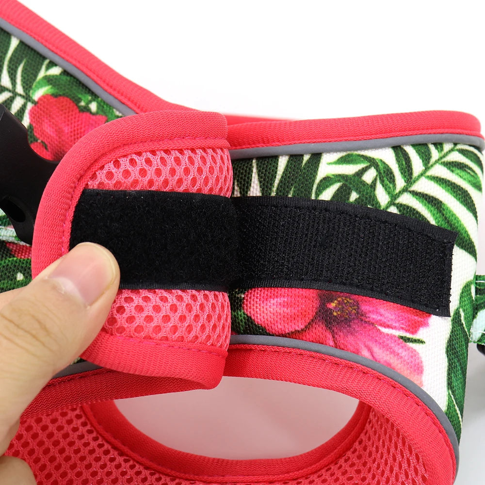 Printed Mesh Dog & Cat Harness Leash Set – Adjustable No-Pull Pet Vest with Matching Lead (Pink / Black / Blue)
