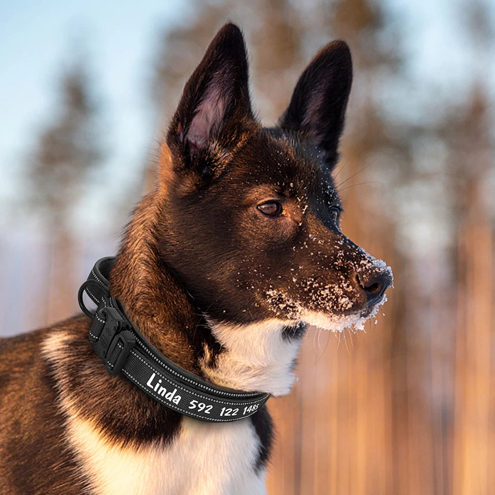 Custom Nylon Dog Collar – Military Tactical Reflective Collar for Medium & Large Dogs
