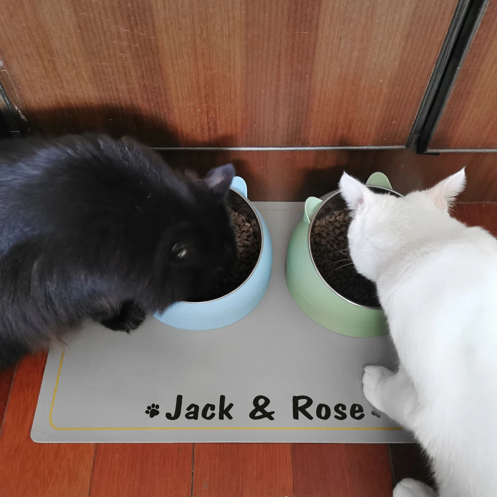 🐾 Custom Name Pet Placemat – Waterproof Dog & Cat Feeding Mat