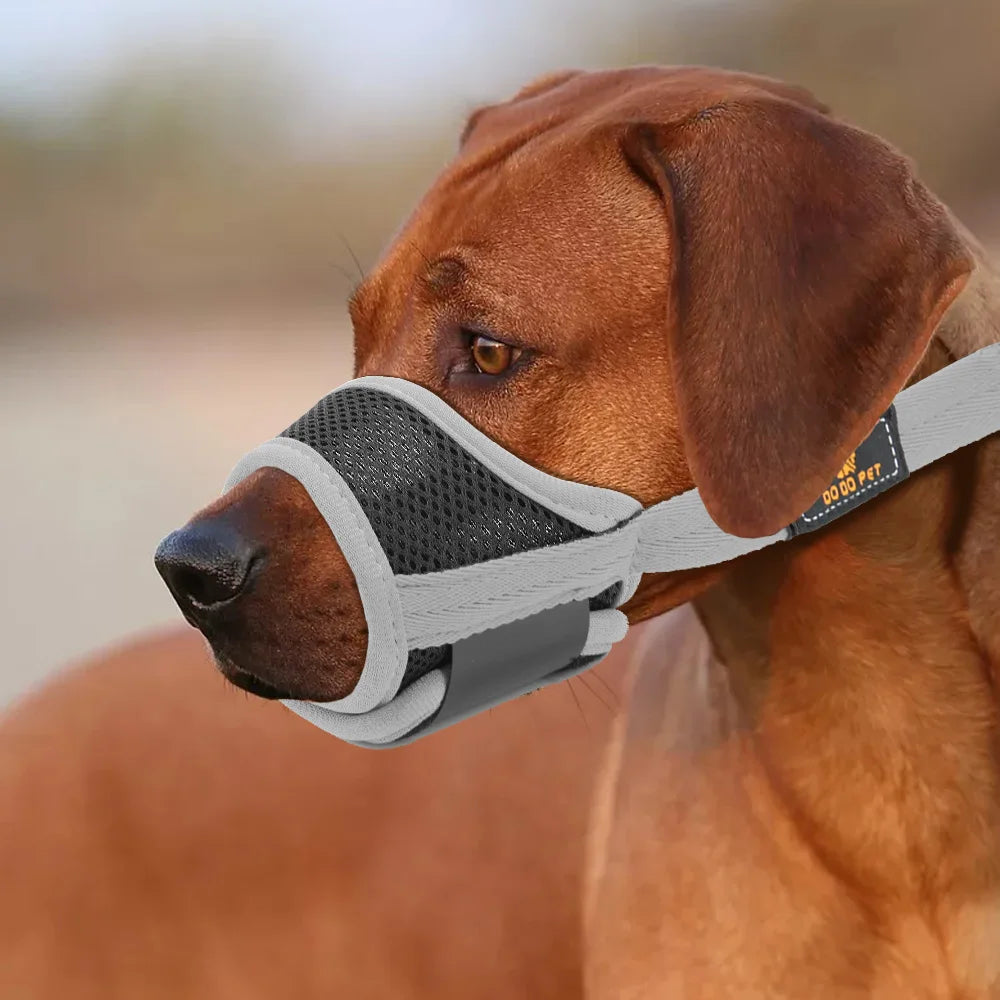 Breathable Mesh Dog Muzzle – Adjustable Anti-Bark & Chew Training Muzzle for Small, Medium & Large Dogs