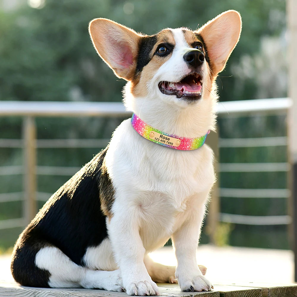 ✨ Personalized Bling Dog Collar – Sparkle, Style & Safety ✨