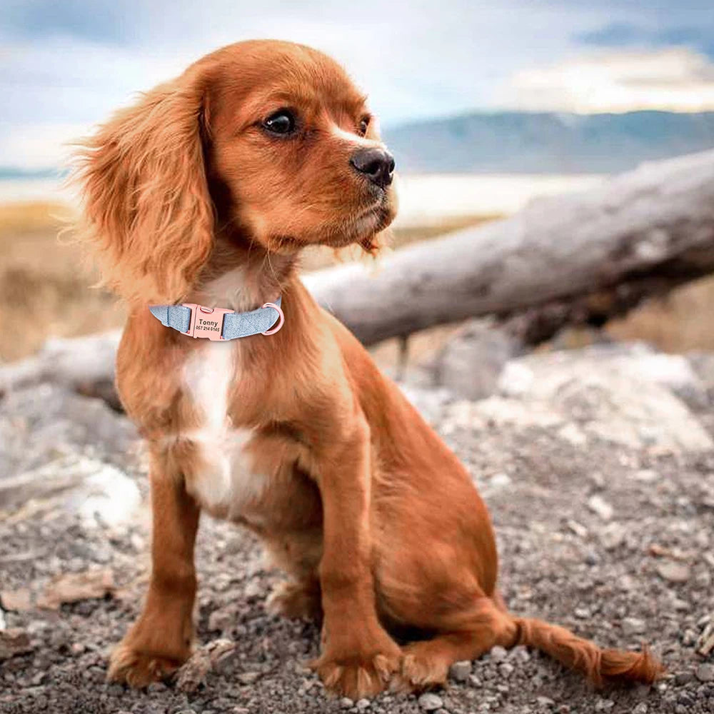 High Quality Personalized Dog Collar – Adjustable Cotton Collar with Custom Engraved ID Tag for Small, Medium & Large Dogs