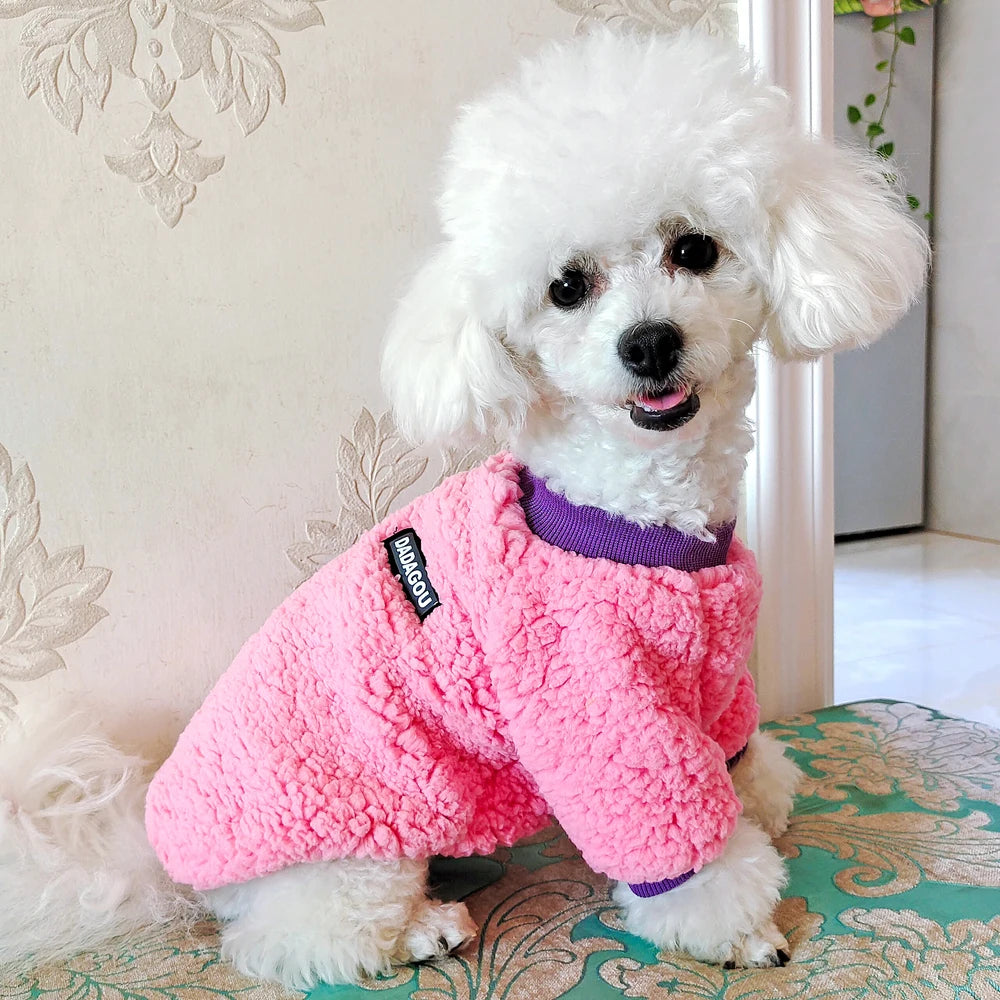 Winter Fleece Dog Jacket – Warm Teddy Coat for Small & Medium Pets