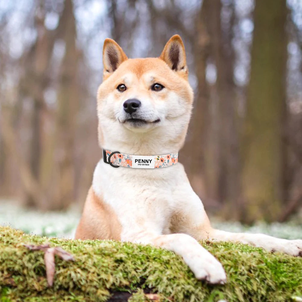 Customized Nylon Dog Collar – Floral Printed Personalized ID Tag for Dogs & Cats