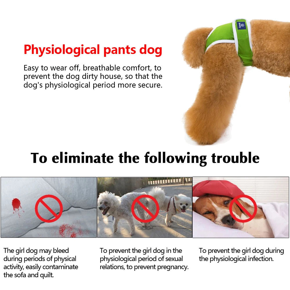 Washable Dog Physiological Pants – Soft Cotton Female Dog Diapers & Sanitary Underwear (Blue/Green, S–2XL)