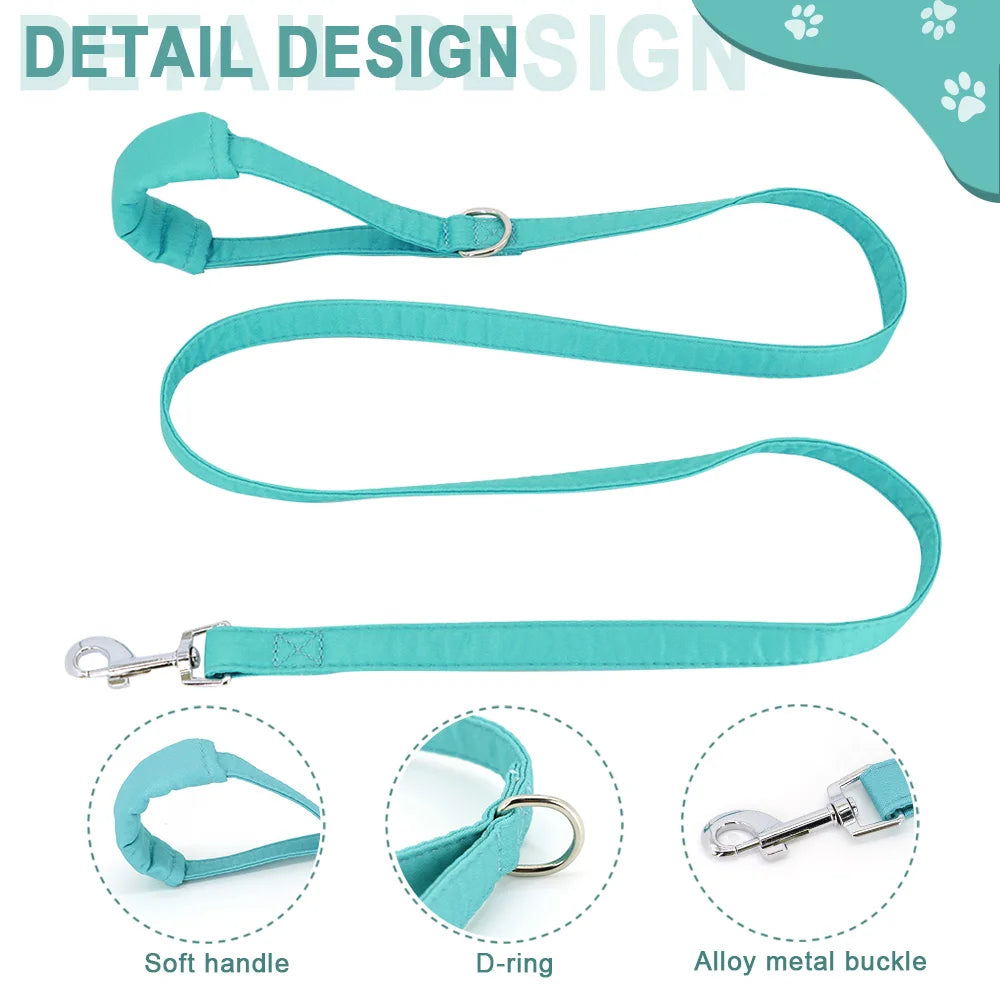 Soft Padded Dog & Cat Harness Leash Set – Warm Winter Vest for Small Dogs & Puppies (Chihuahua, Yorkie, French Bulldog)