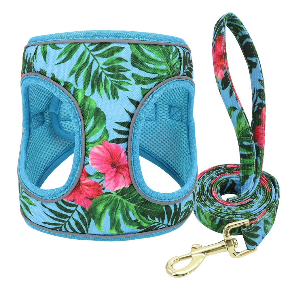Printed Mesh Dog & Cat Harness Leash Set – Adjustable No-Pull Pet Vest with Matching Lead (Pink / Black / Blue)