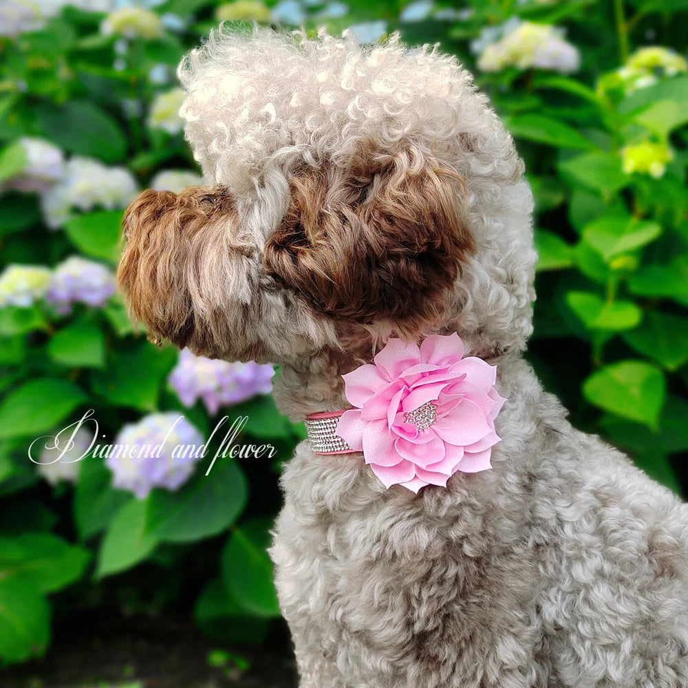 Bling Rhinestone Dog Collar with Flower – Sparkly Crystal Puppy & Cat Necklace for Chihuahua, Yorkie, Poodle