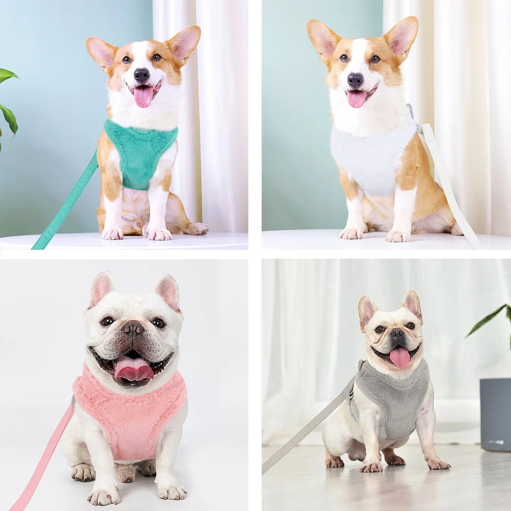 Soft Padded Dog & Cat Harness Leash Set – Warm Winter Vest for Small Dogs & Puppies (Chihuahua, Yorkie, French Bulldog)