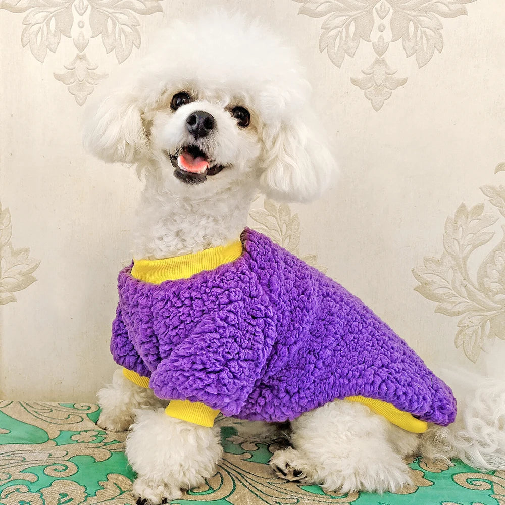 Winter Fleece Dog Jacket – Warm Teddy Coat for Small & Medium Pets