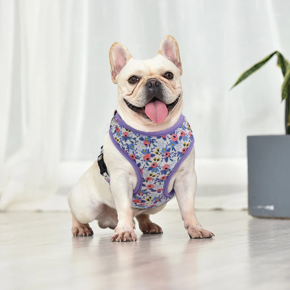 Adjustable Nylon Mesh Dog Harness Leash Set – Cute Printed Vest & Collar for Small & Medium Dogs & Cats (French Bulldog, Chihuahua, Yorkie, Puppy)