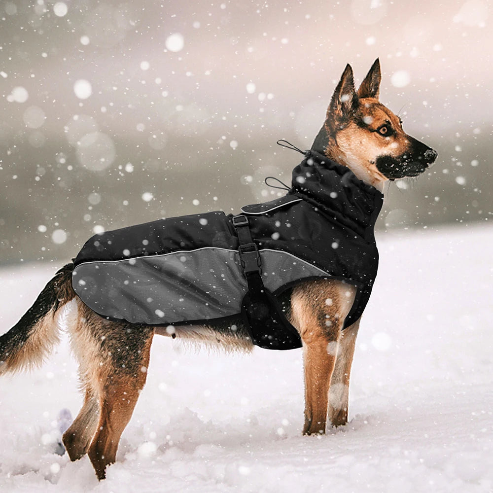 Waterproof Large Dog Coat – Warm Reflective Winter Jacket for Medium & Big Dogs (XL–6XL)