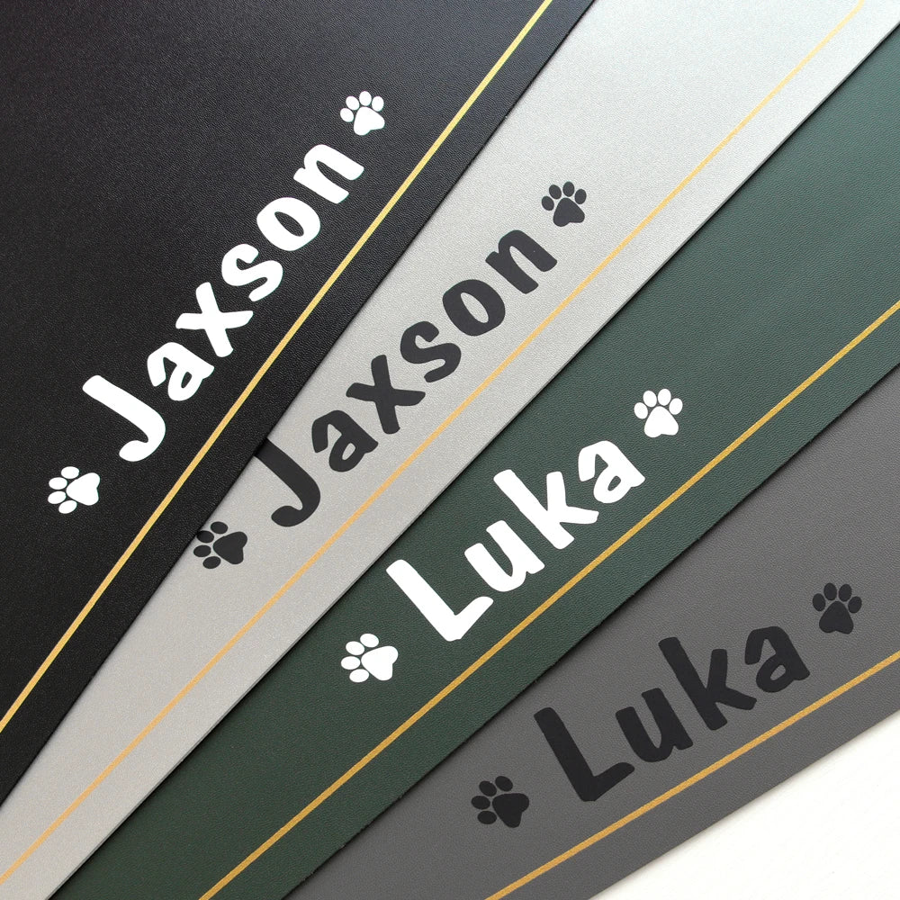 🐾 Custom Name Pet Placemat – Waterproof Dog & Cat Feeding Mat