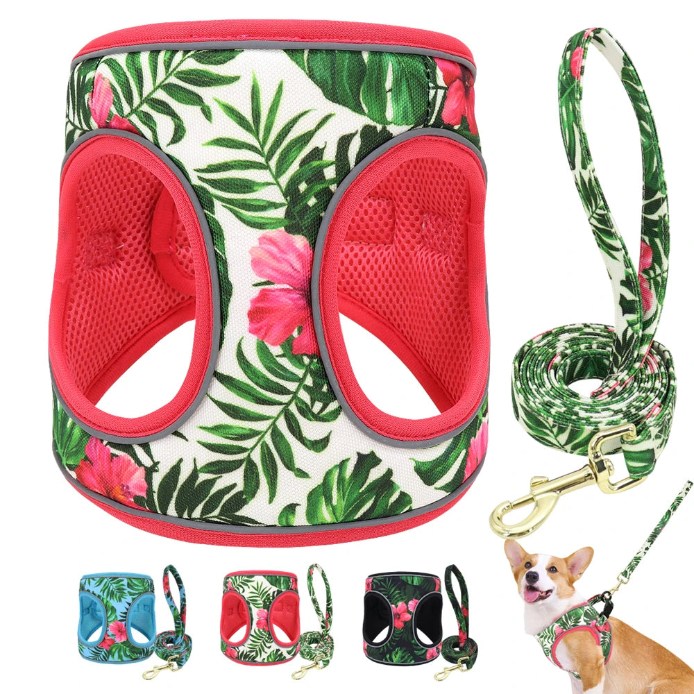 Printed Mesh Dog & Cat Harness Leash Set – Adjustable No-Pull Pet Vest with Matching Lead (Pink / Black / Blue)