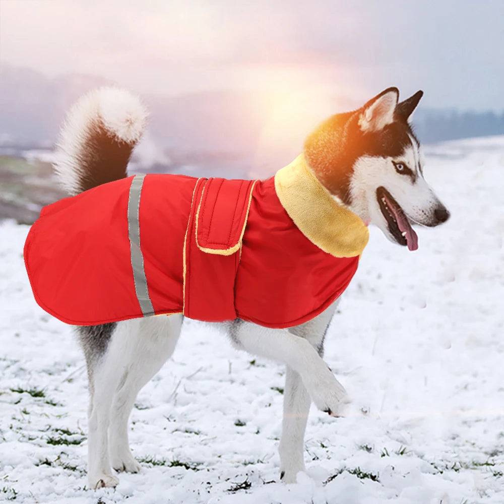 Winter Outdoor Dog Jacket – Waterproof Reflective Coat for Medium & Large Dogs