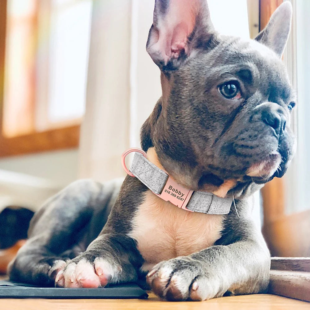 High Quality Personalized Dog Collar – Adjustable Cotton Collar with Custom Engraved ID Tag for Small, Medium & Large Dogs