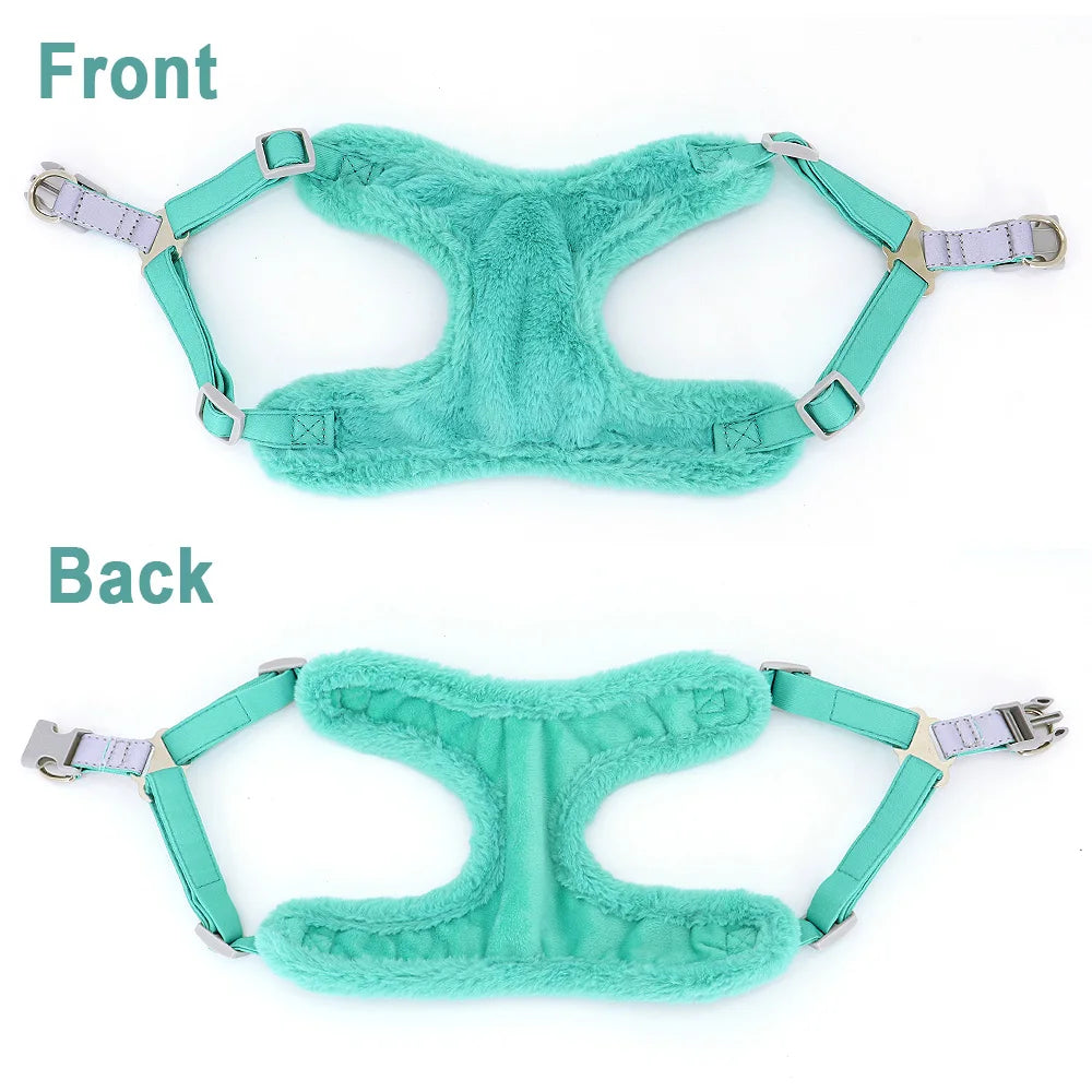 Soft Padded Dog & Cat Harness Leash Set – Warm Winter Vest for Small Dogs & Puppies (Chihuahua, Yorkie, French Bulldog)
