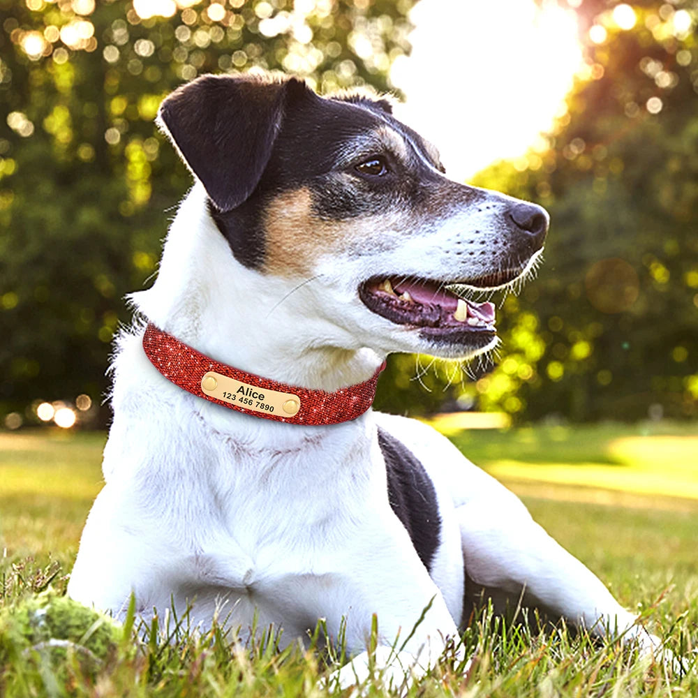 ✨ Personalized Bling Dog Collar – Sparkle, Style & Safety ✨