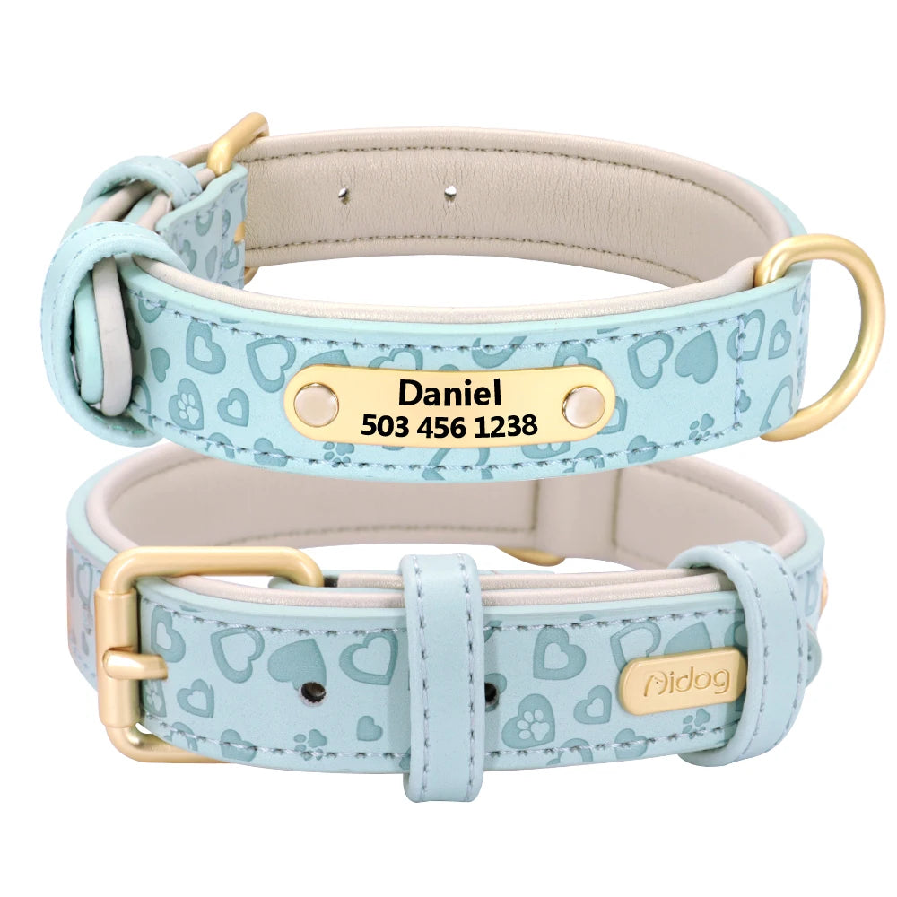 Personalized Padded Leather Dog Collar with Custom Engraved Nameplate – For Small to 2XL Dogs
