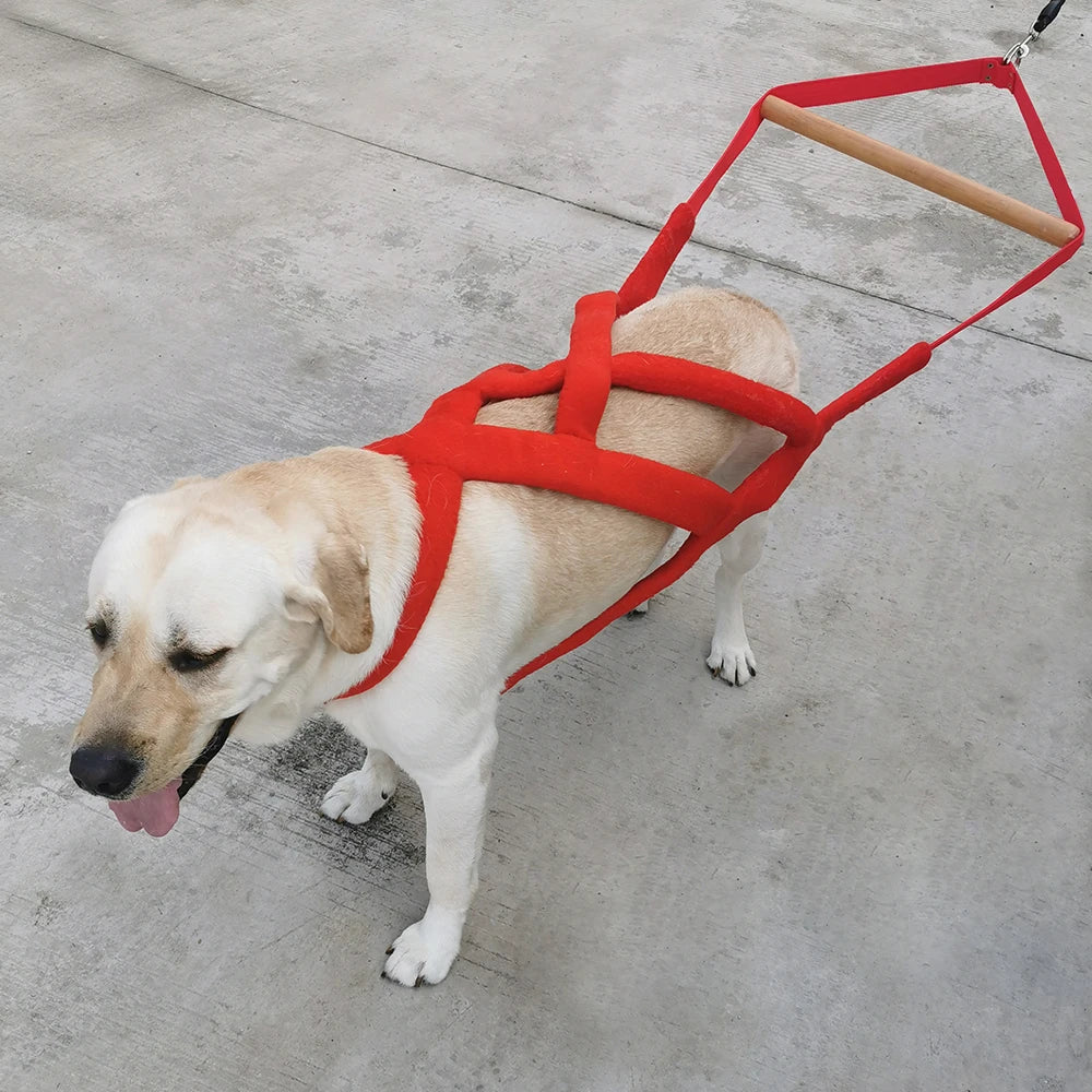 Durable Big Dog Weight Pulling Harness Dog Sledding Harness For Medium Large Dogs German Shepherd Training Pet Agility Products