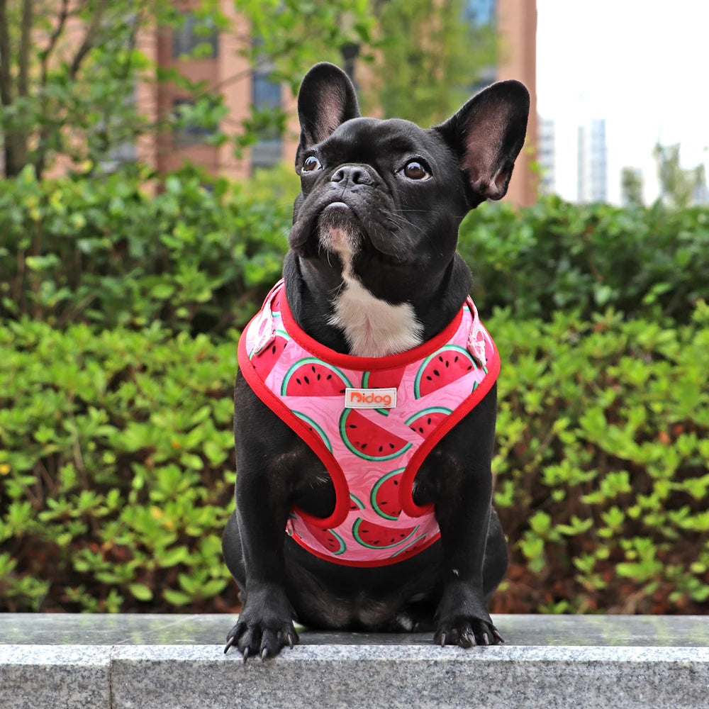 Fashion Printed Nylon Dog Harness Reflective French Bulldog Pug Harness Dog Vest For Small Medium Dogs Cats Walking Training