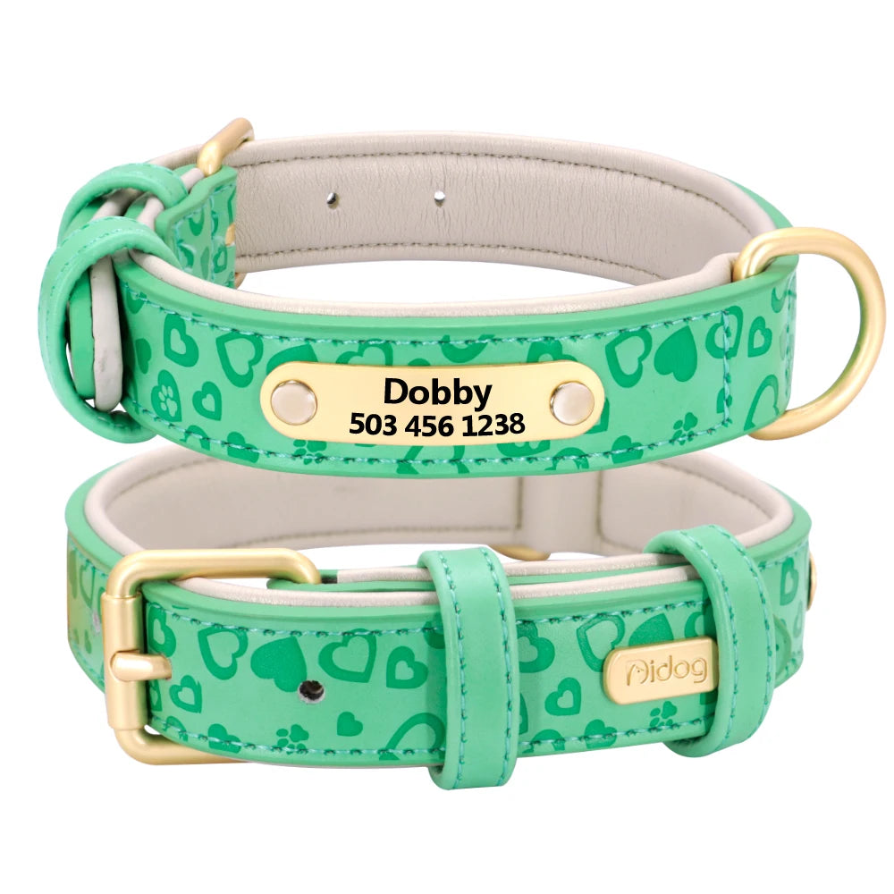 Personalized Padded Leather Dog Collar with Custom Engraved Nameplate – For Small to 2XL Dogs