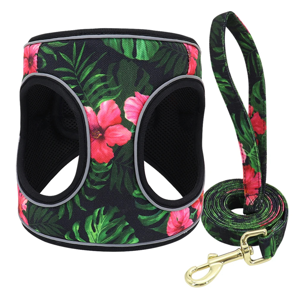Printed Mesh Dog & Cat Harness Leash Set – Adjustable No-Pull Pet Vest with Matching Lead (Pink / Black / Blue)