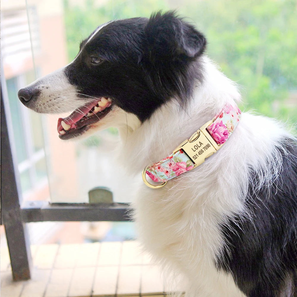 Personalized Dog Collar – Nylon Printed with Free Engraved ID Tag