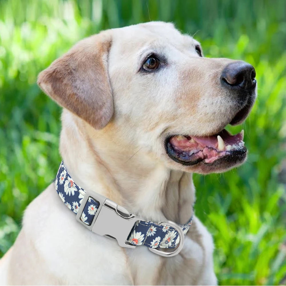Custom Engraved Dog Collar – Personalized Printed Nylon Collar with ID Tag, Name & Phone Number for Small & Large Dogs