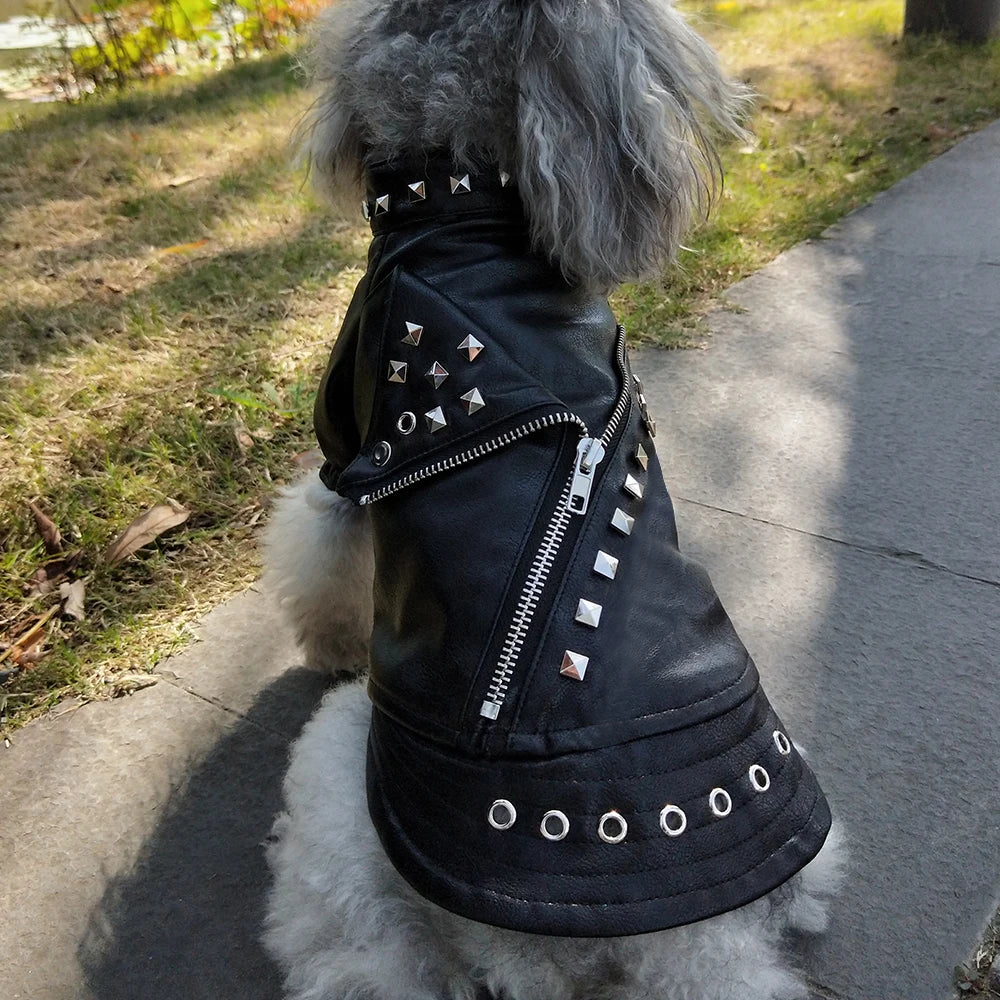 Cool Dog Jacket – Rocker Style Leather Coat for Small & Medium Dogs