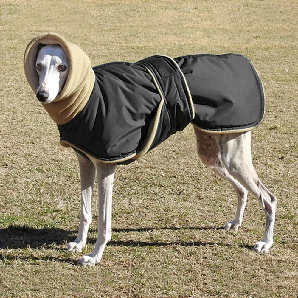 Winter Outdoor Dog Jacket – Waterproof Reflective Coat for Medium & Large Dogs