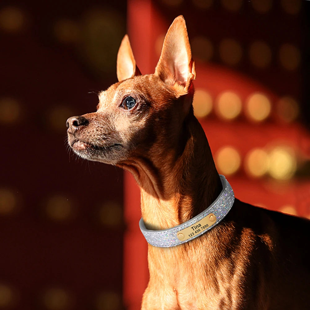 ✨ Personalized Bling Dog Collar – Sparkle, Style & Safety ✨