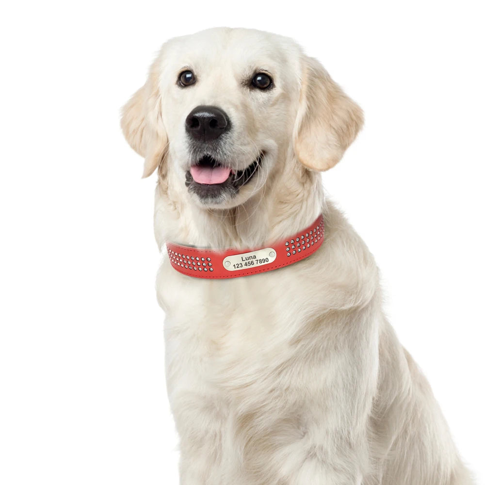 Personalized Dog Collar with Rhinestones – Custom Engraved Leather Pet ID Collar | Adjustable for Small, Medium & Large Dogs