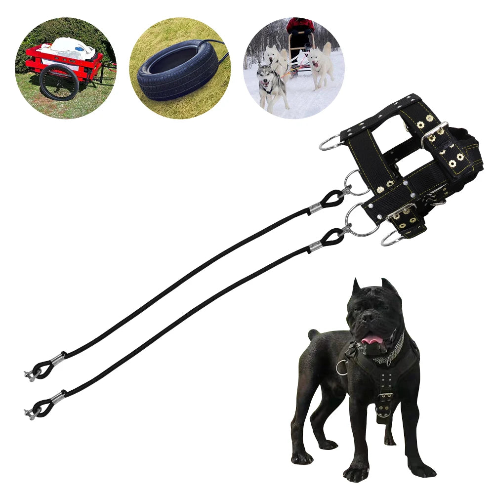 Durable Dog Training Harness – Heavy-Duty Weight Pulling & Agility Harness for Large Dogs & German Shepherds
