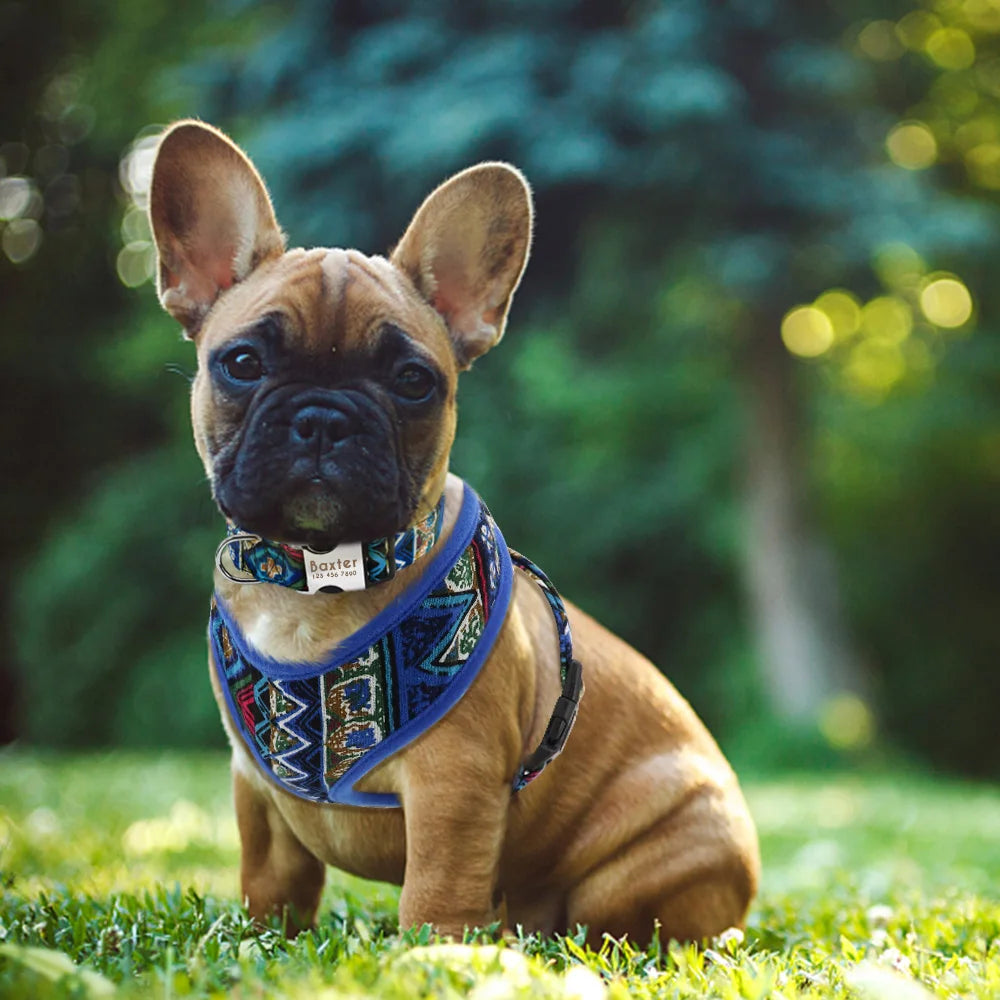 Adjustable Nylon Dog Harness Breathable Printed Dog Harness Vest For Small Medium Large Dogs French Bulldog Pet Supplies