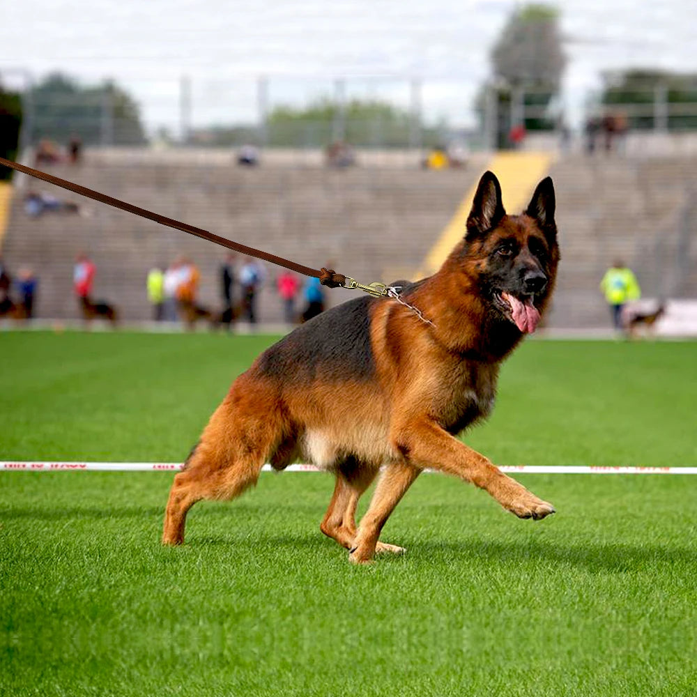 Dog Leash Leather Training &amp; Walking Lead – 1.5m / 2.5m