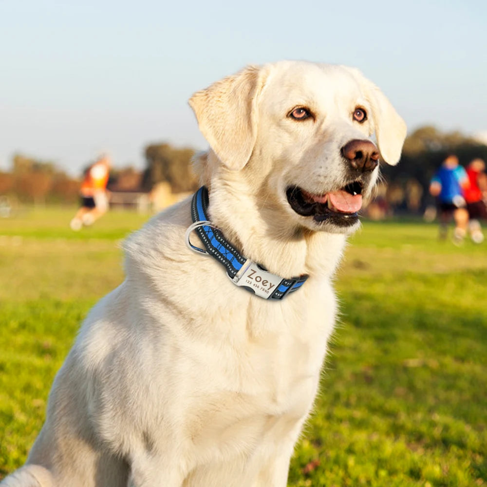 Personalized Reflective Dog Collar – Custom Nylon ID Tag Collar for Medium & Large Dogs