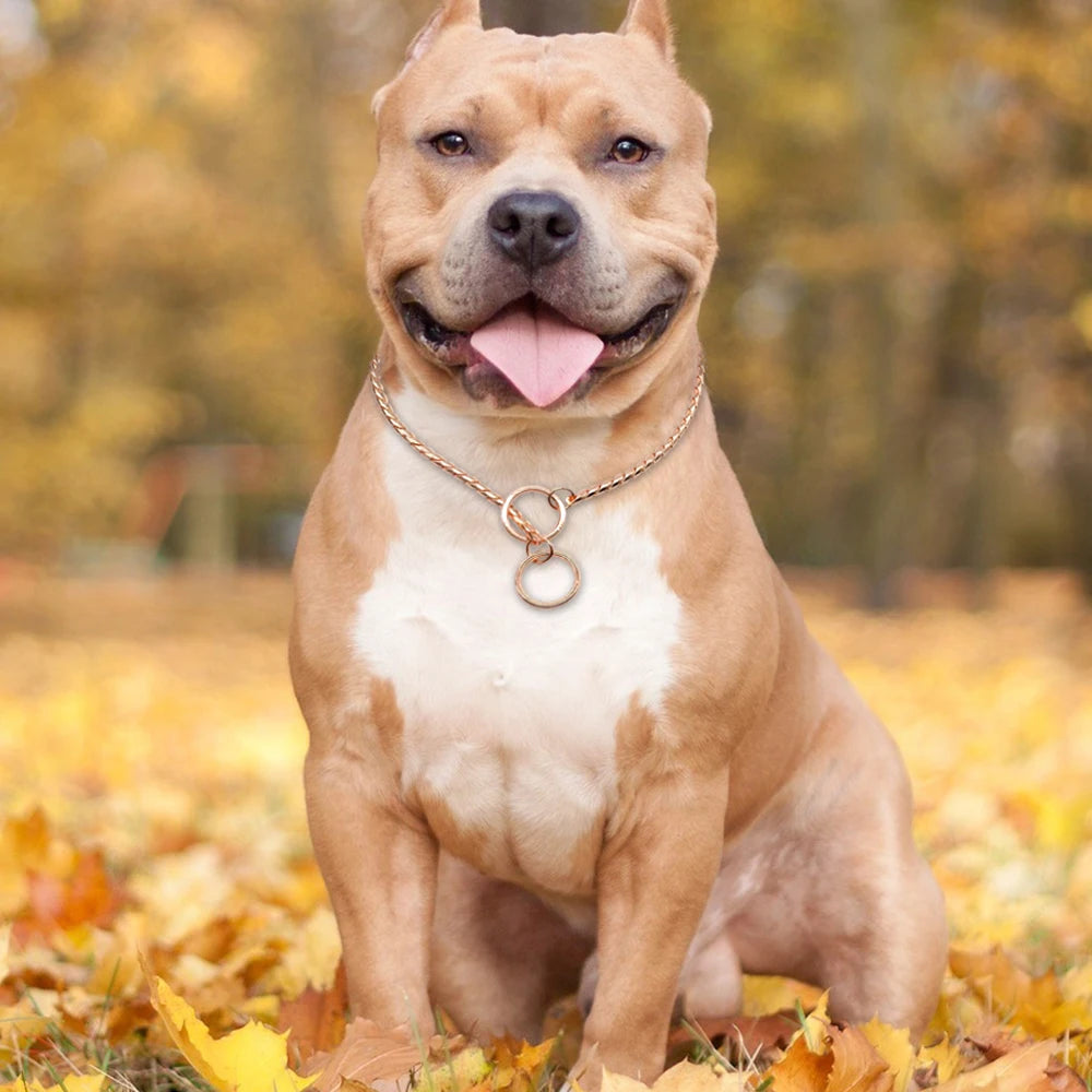 High Quality Dog Choker Snake Chain Dog Training Collar Heavy Metal Pet Slip Choke Collars Golden For Medium Large Dogs Pitbull