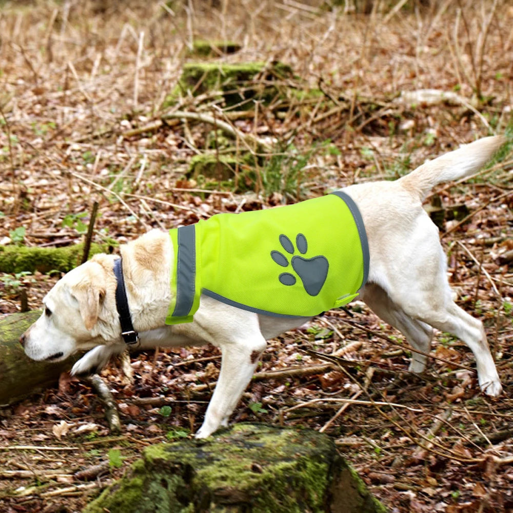 Reflective Dog Safety Vest – High Visibility Pet Harness for Outdoor Walking, Hiking & Hunting